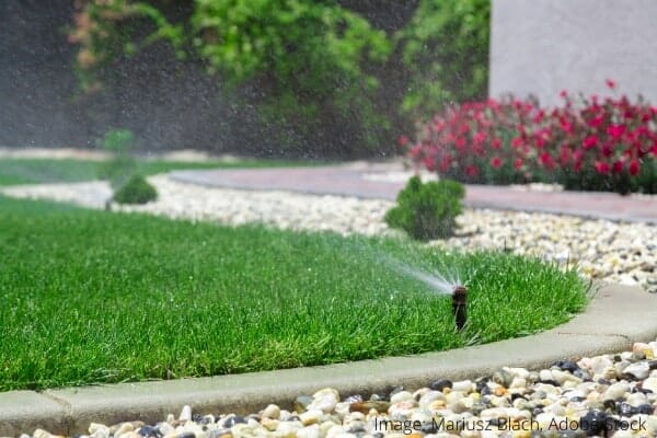 How to clean garden sprinklers - WD-40 GULF blog post How to clean garden sprinklers - WD-40 GULF blog post
