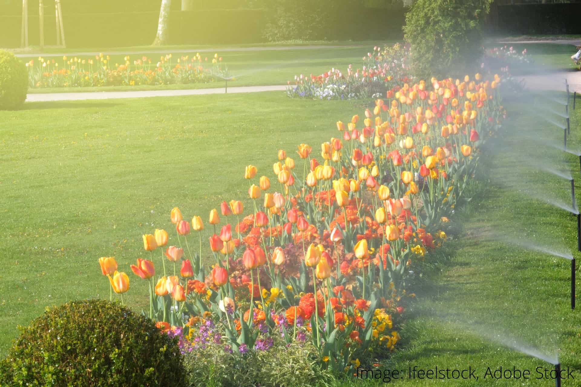 How to clean garden sprinklers - WD-40 GULF blog post